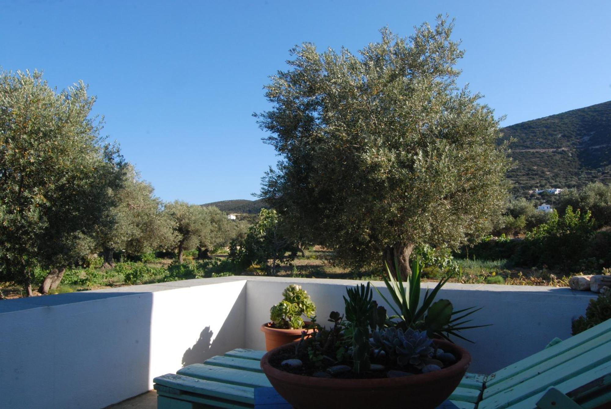 Villa Perivoli Platis Gialos  Exterior photo