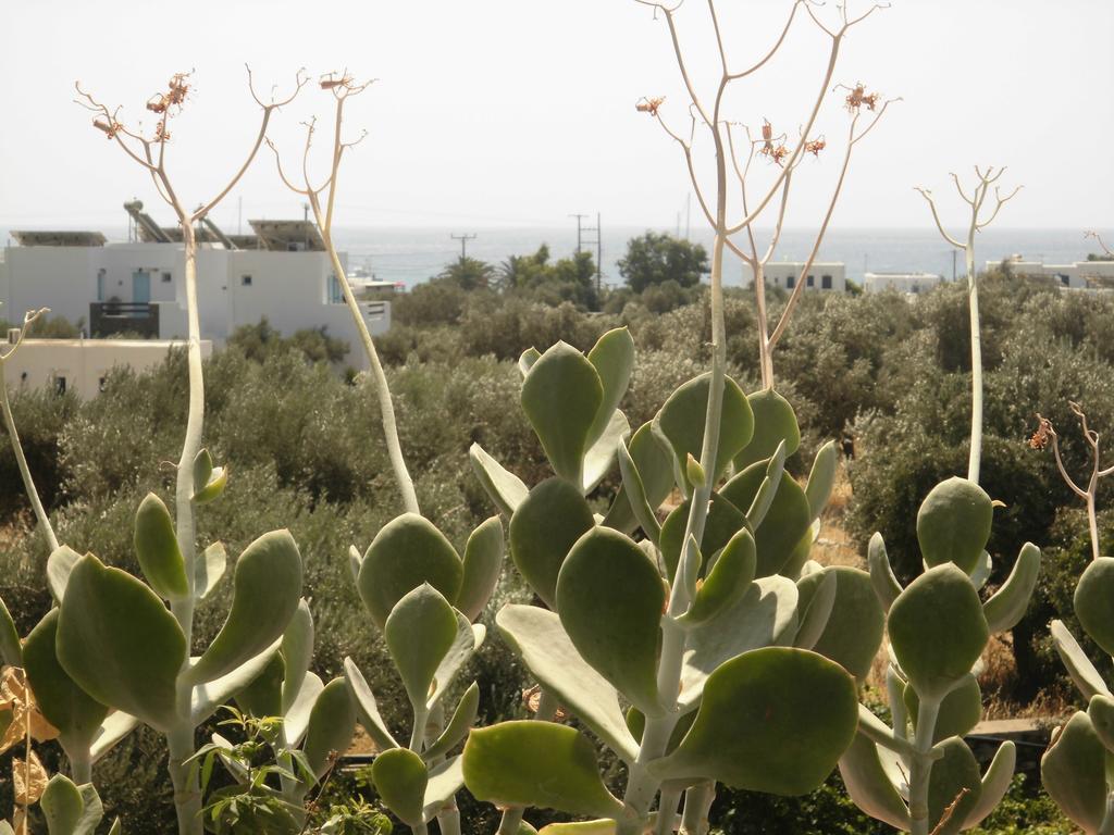 Villa Perivoli Platis Gialos  Exterior photo